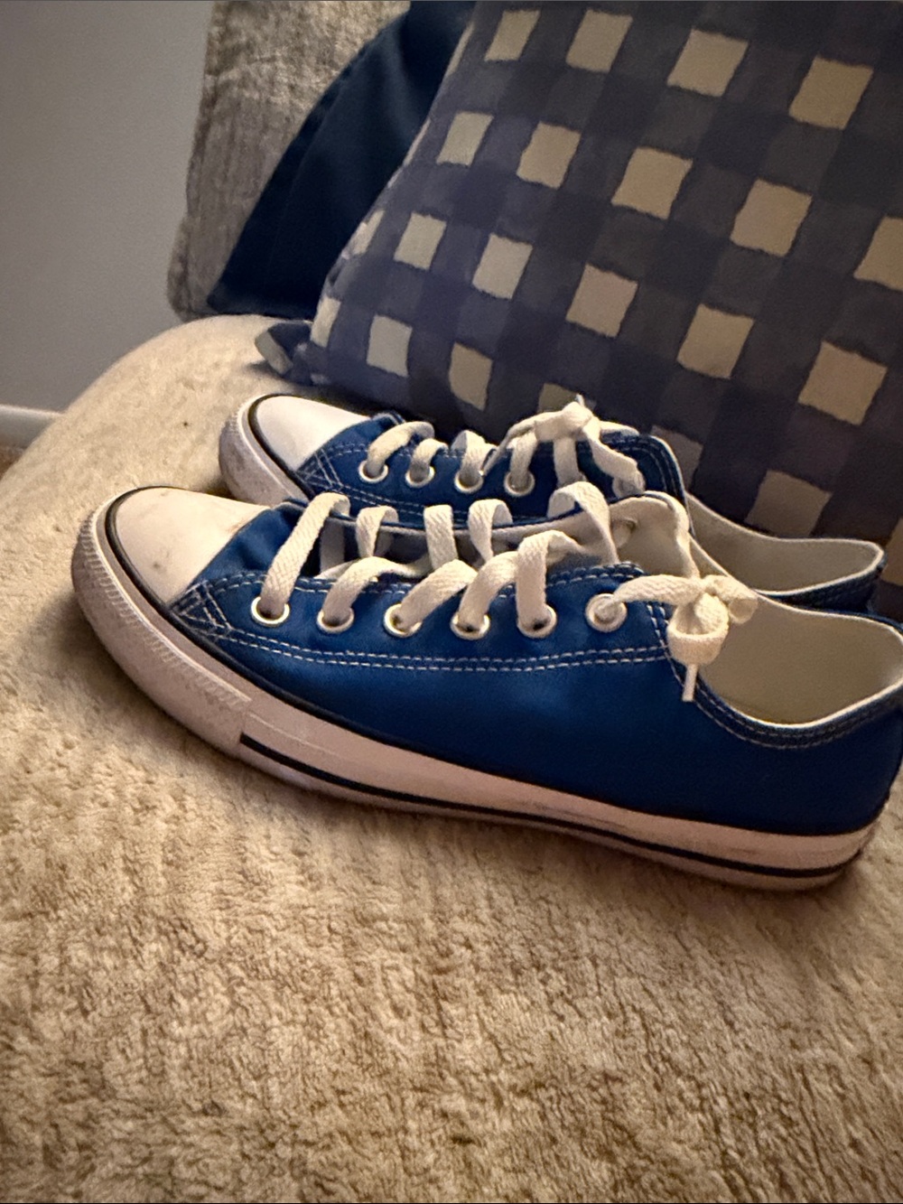 Converse Low-Top Canvas Sneakers in Blue and White